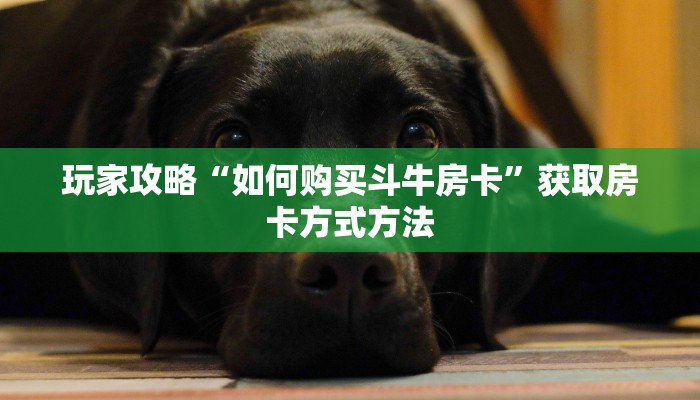 玩家攻略“如何购买斗牛房卡”获取房卡方式方法