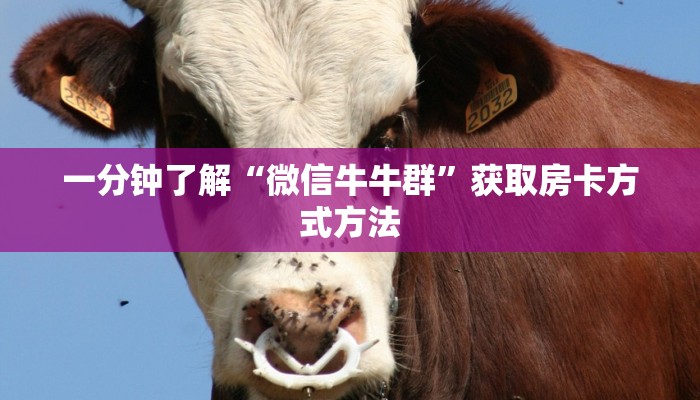 一分钟了解“微信牛牛群”获取房卡方式方法