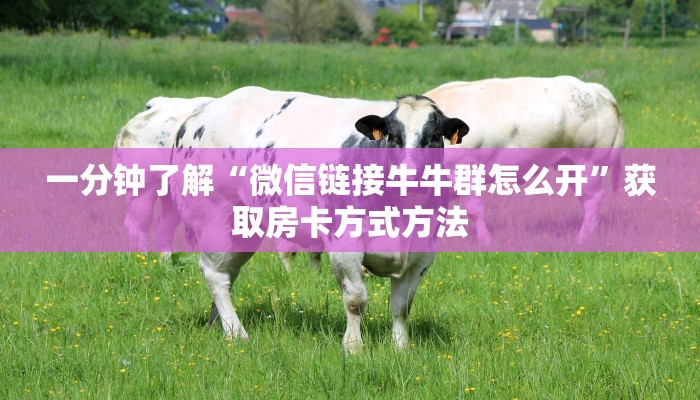 一分钟了解“微信链接牛牛群怎么开”获取房卡方式方法
