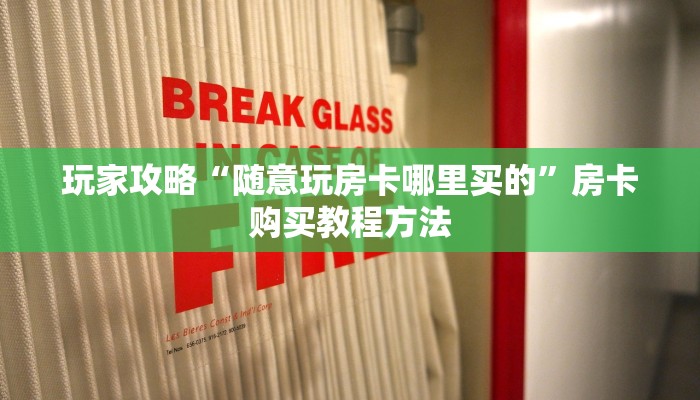玩家攻略“随意玩房卡哪里买的”房卡购买教程方法