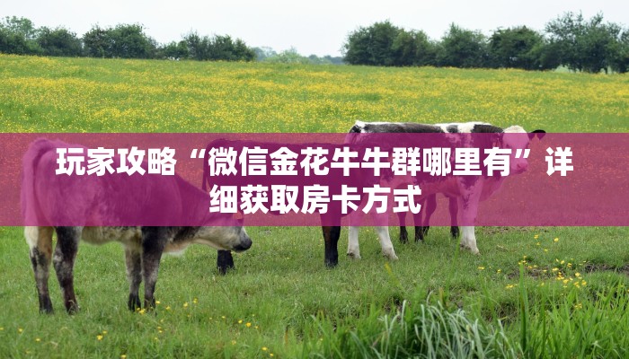 玩家攻略“微信金花牛牛群哪里有”详细获取房卡方式