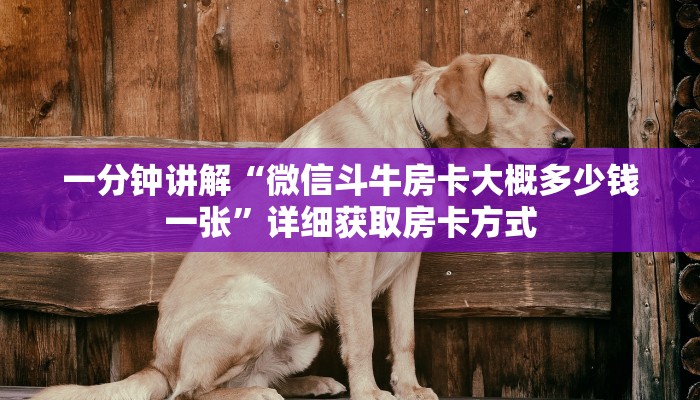 一分钟讲解“微信斗牛房卡大概多少钱一张”详细获取房卡方式
